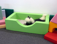 Kinderbett
